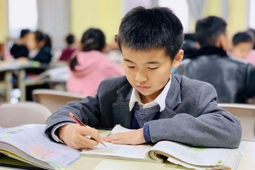 教育部门通知 将于9月15日开始执行新战略,家长心里忐忑不安