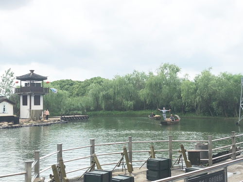 学党史,守初心,担使命 医学与公共服务学院直属党支部开展党史学习教育沉浸式主题党日活动