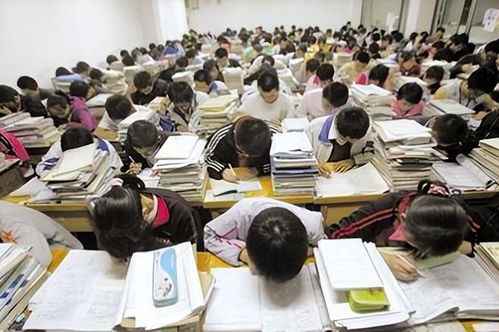 全国统一的 补作业 现象,背后的原因是什么