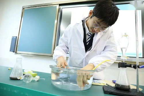 中高考未考好来启外可上世界名校