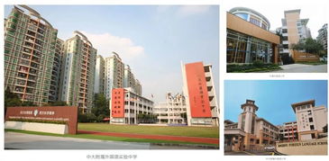 广州9所国际学校开放日来袭，趁周末参观意向学校，教育咨询助力择校