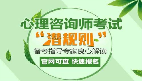 如何考取心理咨询师证 社会经济咨询服务的入门指南